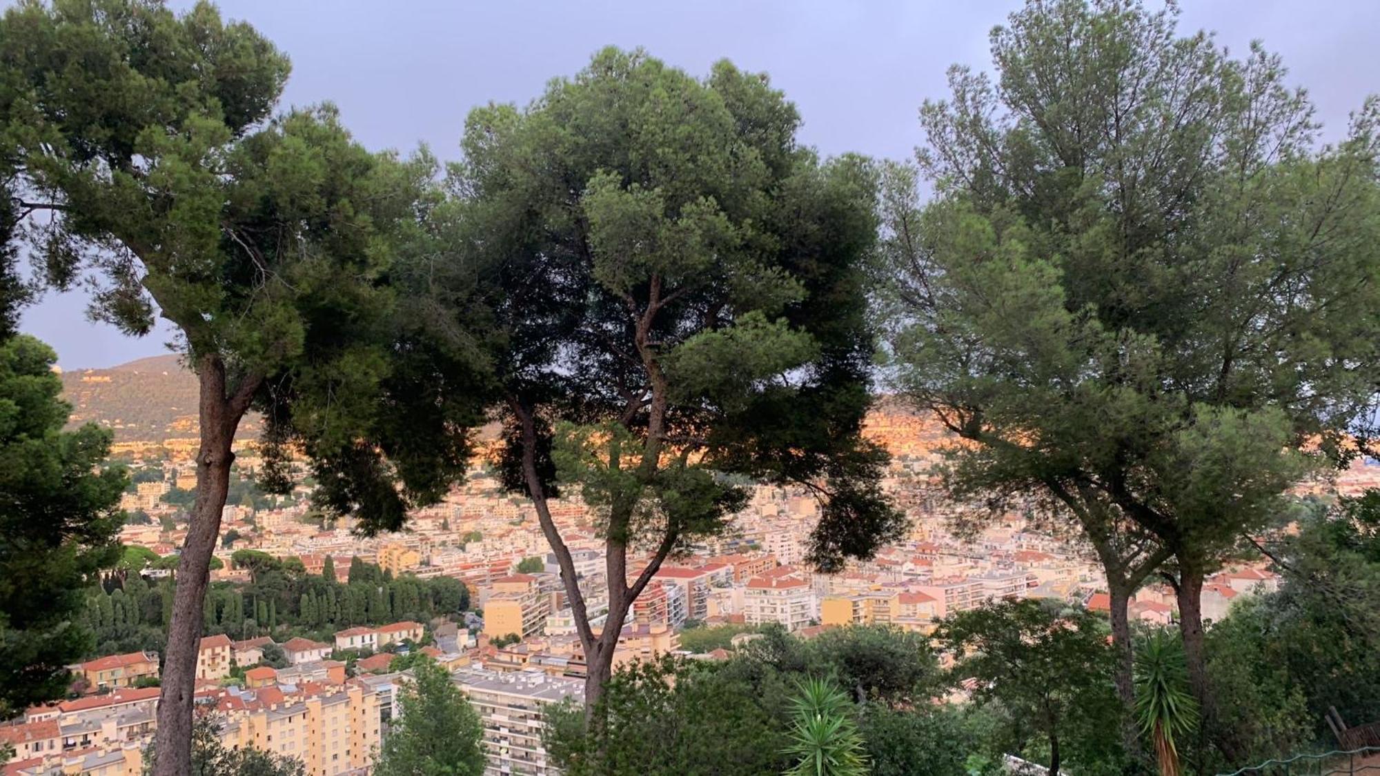 Chambre D Hote Avec Clim Terrasse Et Petit Dejeuner Hauteurs De Nice Exterior foto
