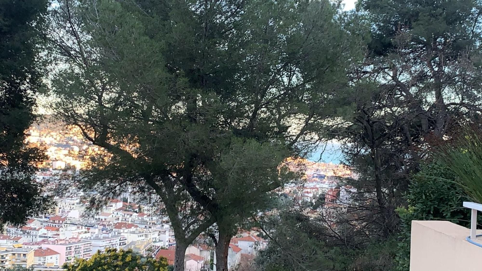 Chambre D Hote Avec Clim Terrasse Et Petit Dejeuner Hauteurs De Nice Exterior foto